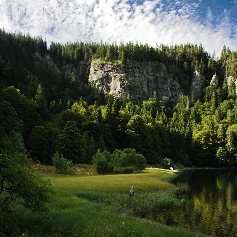 Die Felswand ber dem Feldsee  VDN/Michael Schlegel