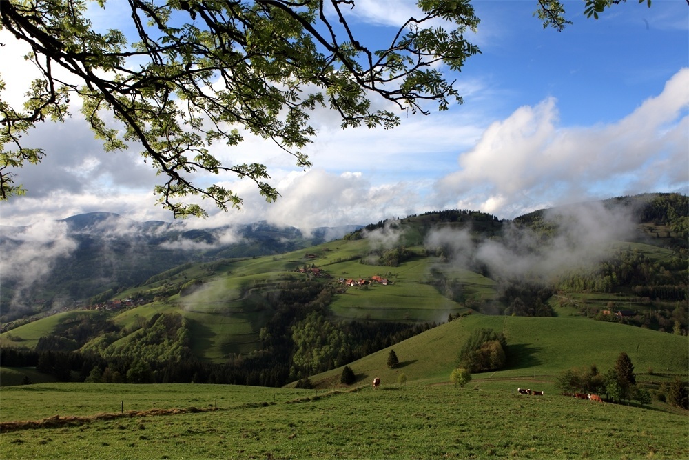 Landschaft um den Belchen  VDN-Fotoportal/ C. Wasmer