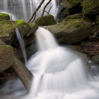 In der Margaretenschlucht bei Neckargerach  U. Krger/ VDN