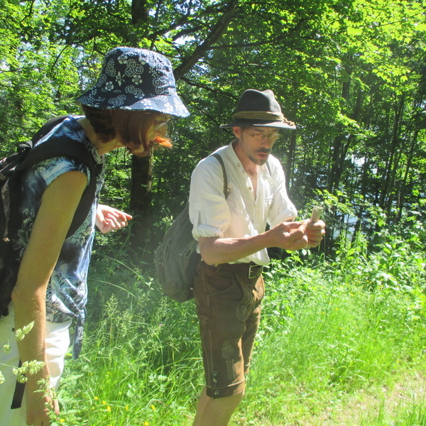 Alles rund um Wildkruter  Oliver Haury 