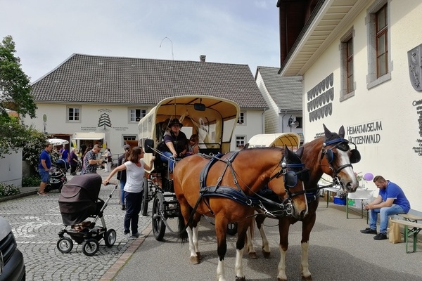 Kutschfahrt auf dem Naturpark-Markt Grwihl